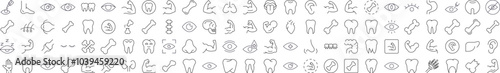 Bundles, Eye, Tooth, Muscle, Internal Organs Pictures Drawn with Thin Line. Collection of Various Design Elements that Can Be Used for Apps, Articles, Web Sites, Social Media