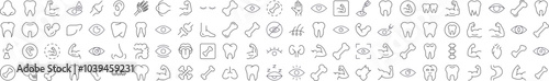 Bundles, Eye, Tooth, Muscle, Internal Organs Pictograms Drawn with Thin Line. Collection of Various Design Elements that Can Be Used for Apps, Articles, Web Sites, Social Media