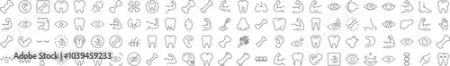Bundles, Eye, Tooth, Muscle, Internal Organs Images Drawn with Thin Line. Collection of Various Design Elements that Can Be Used for Apps, Articles, Web Sites, Social Media