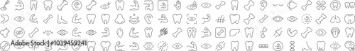 Bundles, Eye, Tooth, Muscle, Internal Organs Minimalistic Pictograms Drawn with Thin Line. Collection of Various Design Elements that Can Be Used for Apps, Articles, Web Sites, Social Media