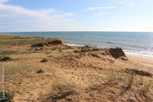 Fototapeta Dunes au-dessus de la plage de sable de Sauveterre (Les Sables-d'Olonne, Vendée)