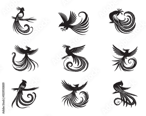 Set of  Resplendent quetzal silhouette design - Pharomachrus mocinno Vector illustration
