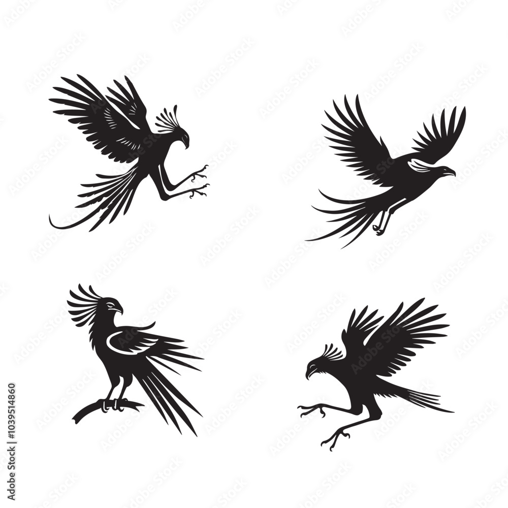 Fototapeta premium Collection of Secretarybird Vector illustration - Cute secretary Bird Silhouette Design 