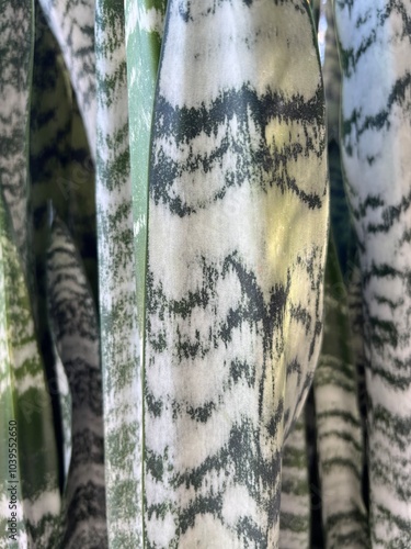 detail of a wild plant