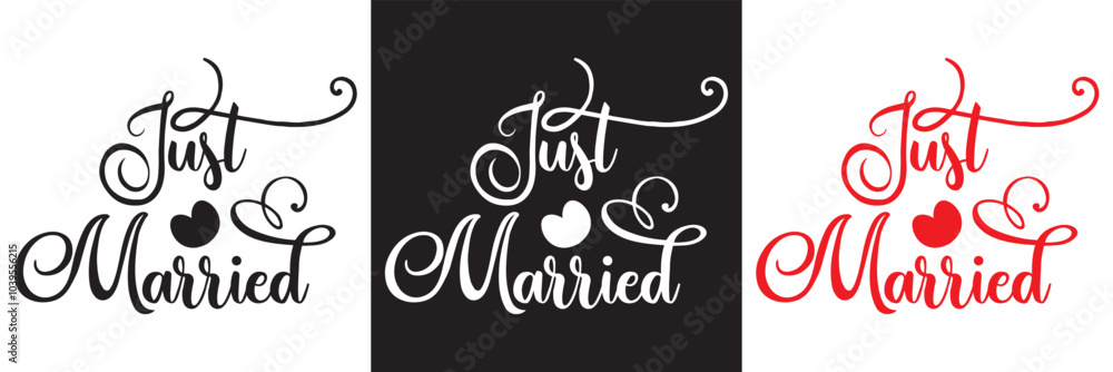 Just married lettering calligraphy. Vector illustration isolated on white and black background. EPs 10 Just married lettering calligraphy. Vector illustration isolated on white and black background. EPs 10