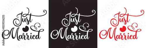 Just married lettering calligraphy.  Vector illustration isolated on white and black background. EPs 10