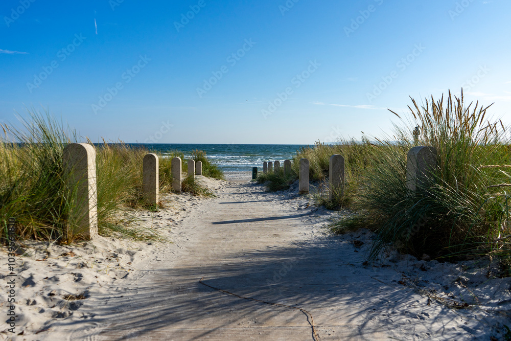 Fototapeta premium Beach path to the sea on the Baltic Sea on Rügen