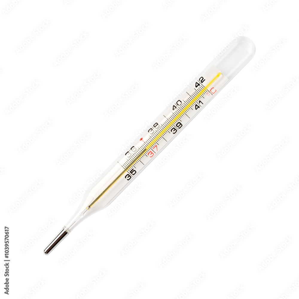 Thermometer isolated on the white background Thermometer isolated on the white background