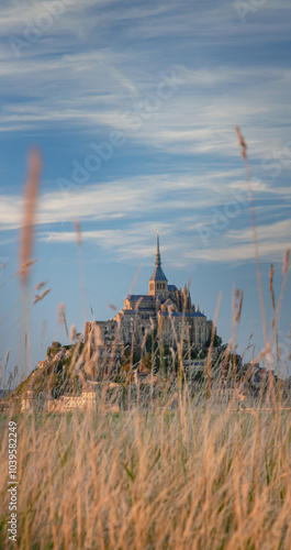 Le Mont Saint-Michel island with a blade of grass and clouds, Normandy, France. France