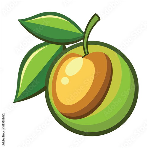 kakadu plum vector illustration