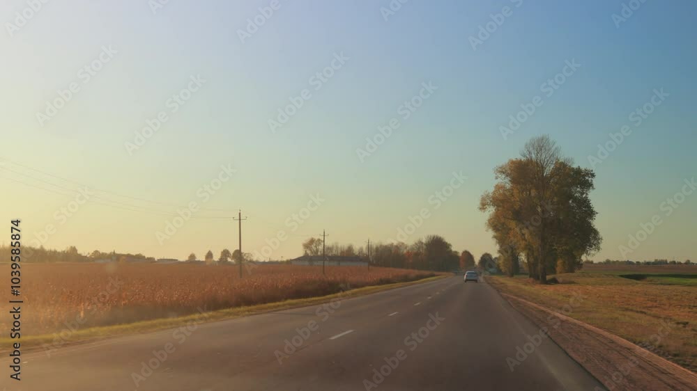 Autumn landscape and view of the road in motion. Driving a car on the road at speed. Asphalt and white road markings. Autumn landscape and view of the road in motion. Driving a car on the road at speed. Asphalt and white road markings.