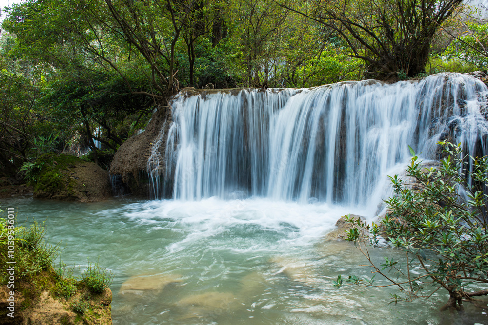 Obraz premium waterfall in the forest