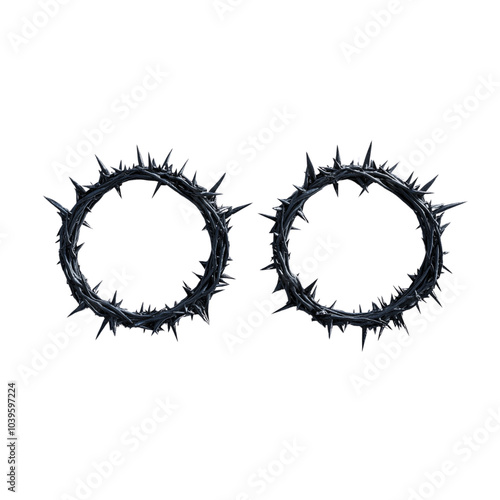 Two crowns of thorns on a white background photo