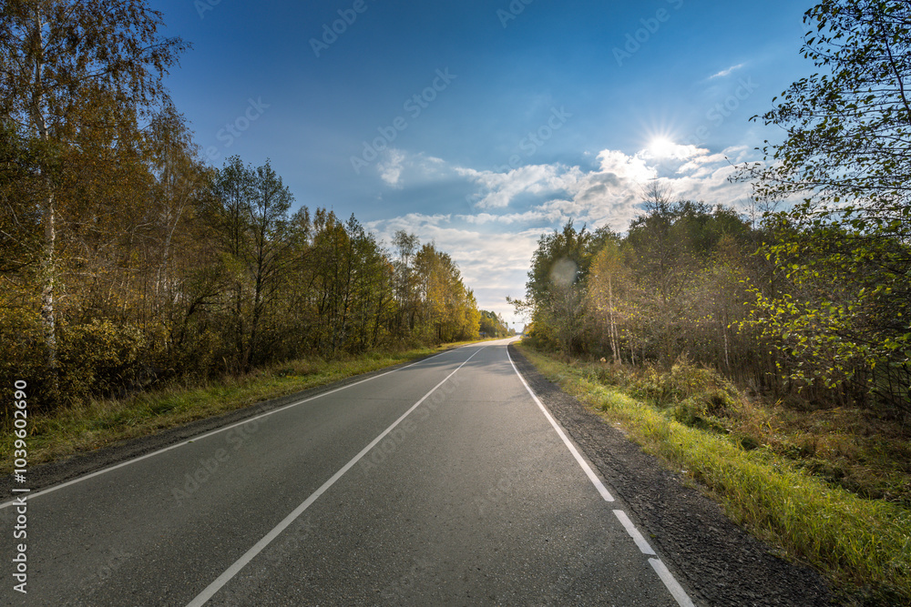 Fototapeta premium A road with trees in the background and a clear blue sky