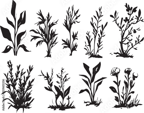 Set of silhouette plants, plant design. Hand drawn vector illustration