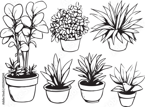 Set of silhouette plants, plant design. Hand drawn vector illustration