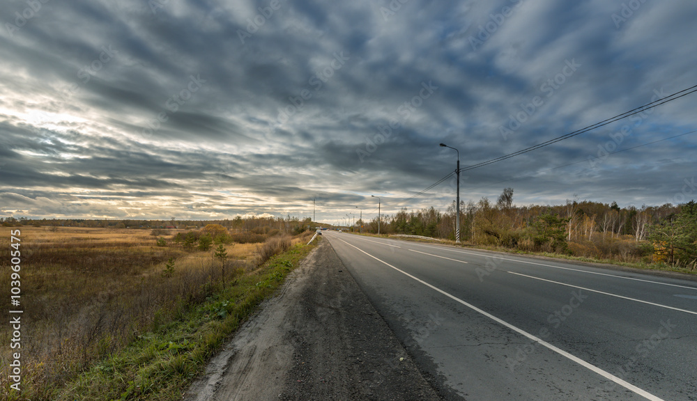 A road with a lot of trees and a cloudy sky A road with a lot of trees and a cloudy sky