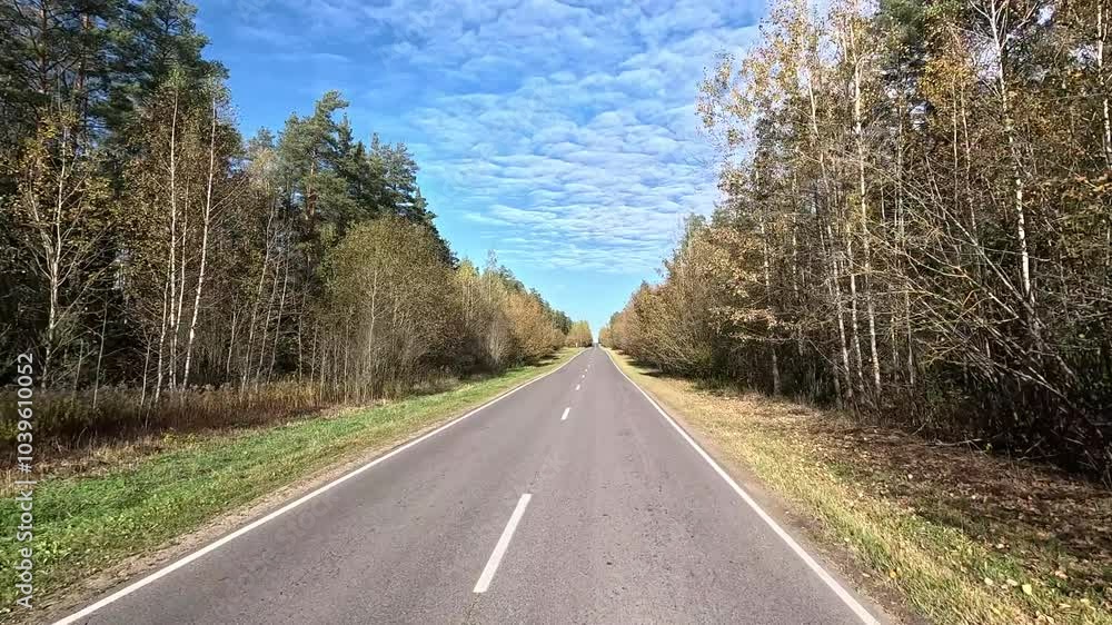 Road view on a autumn day. Highways and sun, roadside and white road line markings. Road view on a autumn day. Highways and sun, roadside and white road line markings.