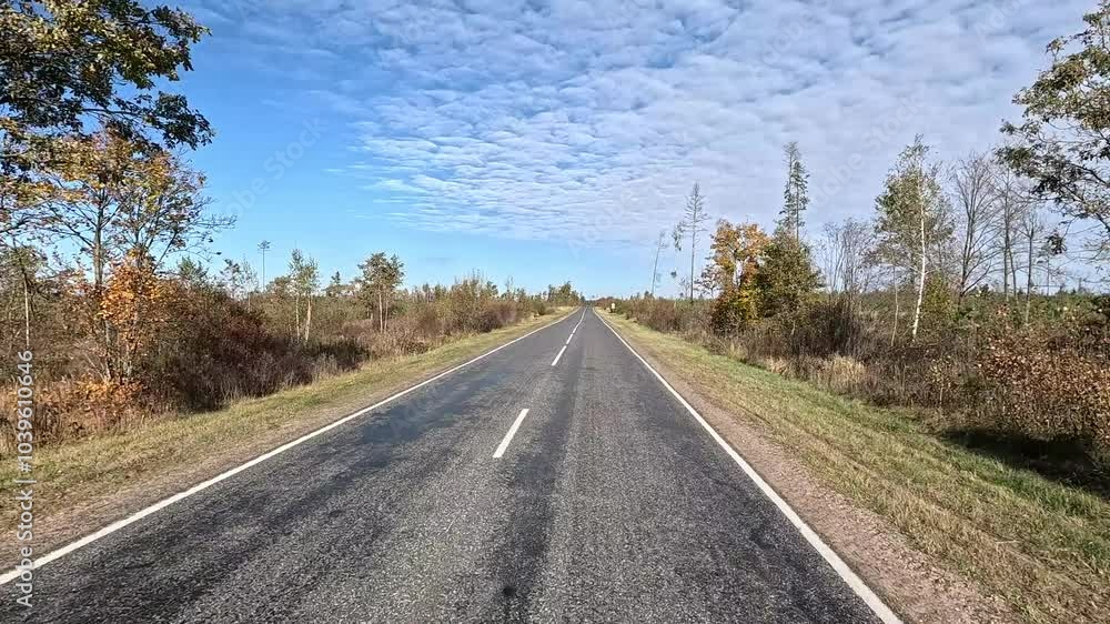 Road view on a autumn day. Highways and sun, roadside and white road line markings. Road view on a autumn day. Highways and sun, roadside and white road line markings.