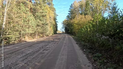 Wallpaper Mural Road view on a autumn day. Highways and sun, roadside and white road line markings. Torontodigital.ca