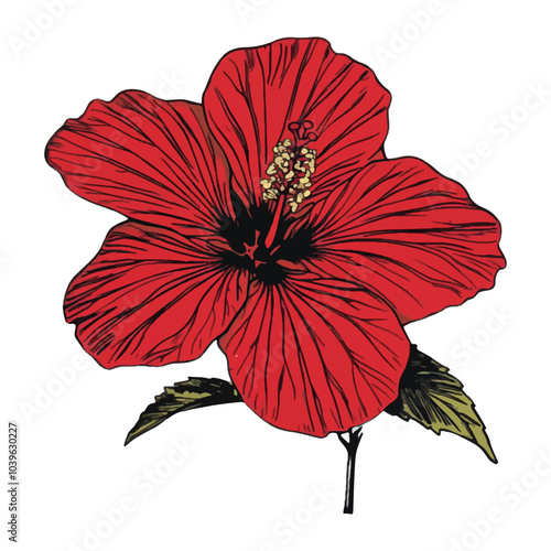 Red hibiscus flower vector illustration on a white background