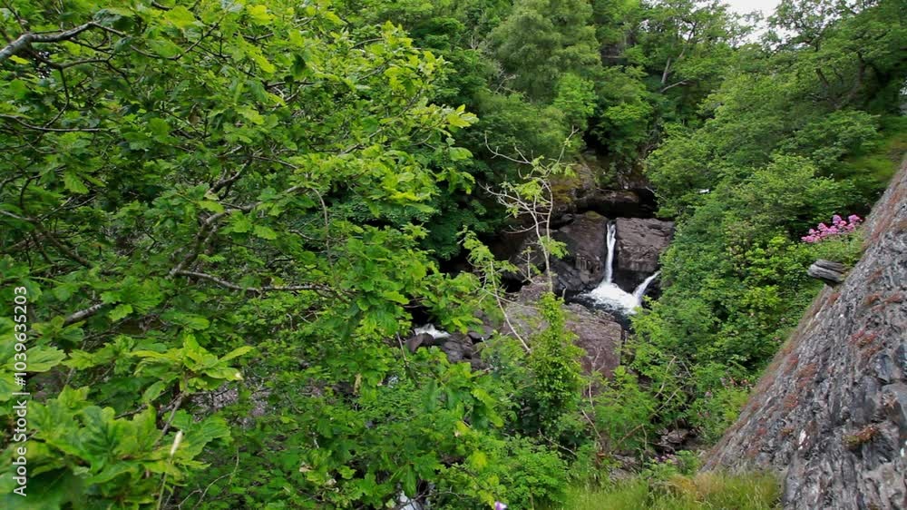 Video, Cyfyng Falls are waterfalls between Betws-y-Coed and Capel Curig, on the River or Afon Llugwy Snowdonia or Eryri National Park., landscape Video, Cyfyng Falls are waterfalls between Betws-y-Coed and Capel Curig, on the River or Afon Llugwy Snowdonia or Eryri National Park., landscape