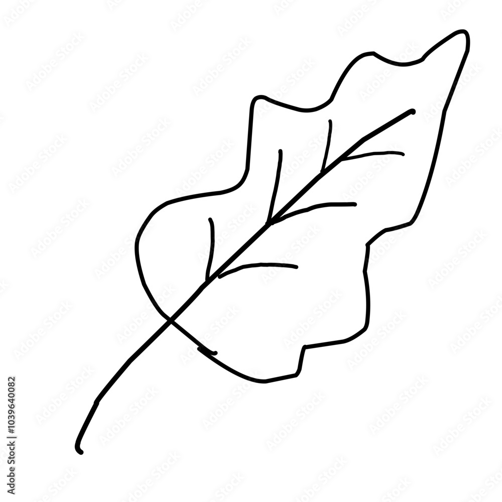 Long leaf Long leaf