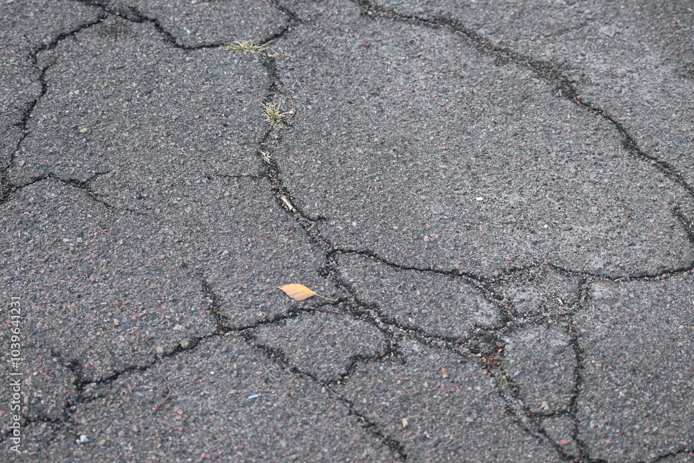 Obraz premium texture of white paint for road marking on asphalt, texture of painted asphalt cracked texture white background, white background on gray asphalt, pedestrian crossing, new road marking close up