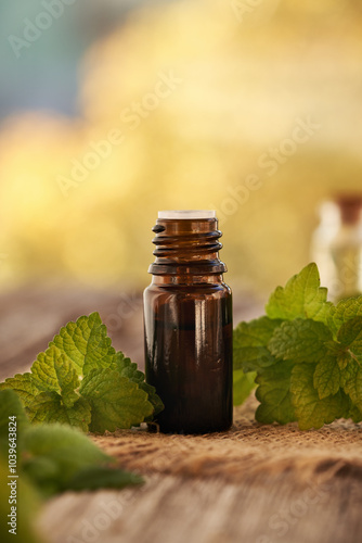 A brown bottle of essential oil with fresh melissa plant outdoors with copy space