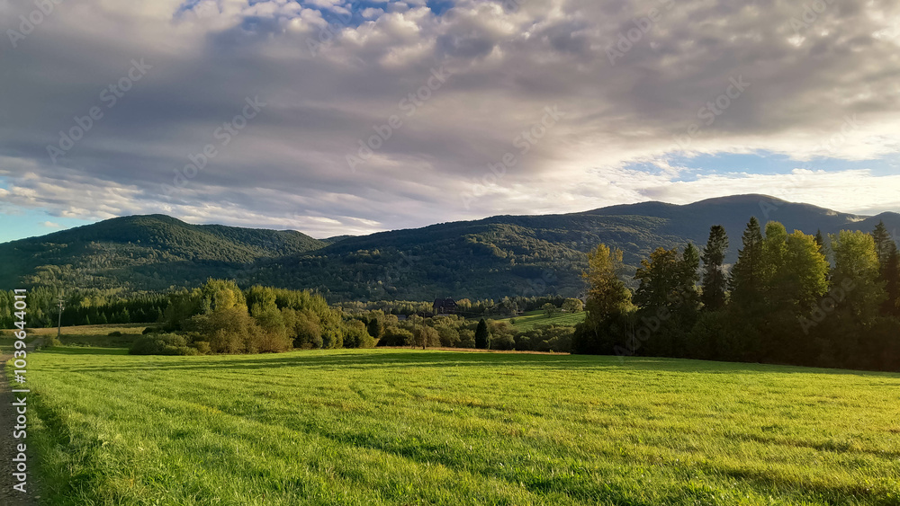 Green meadow in Bieszczady Mountains Poland. Green meadow in Bieszczady Mountains Poland.