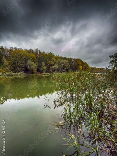 autumn, backgrounds, beautiful, blue, boat, calm, clear, cloud, cloudscape, coastline, edge, environment, forest, green, horizon, idyllic, lake, landscape, majestic, nature, outdoors, panoramic, pond, photo