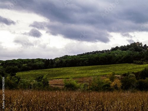 Tuscan field on a cloudy day