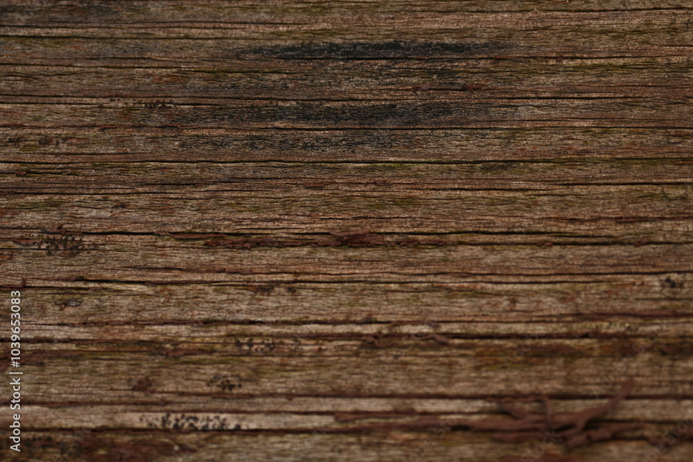 wet brown wood flooring abstract as background, old wood texture close up as a background, wet brown wood flooring abstract as background, old wood texture close up as a background,