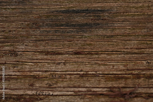 wet brown wood flooring abstract as background, old wood texture close up as a background,