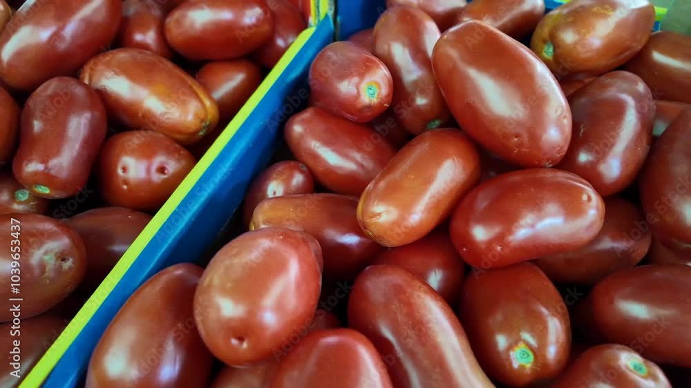 Fresh Roma tomatoes in vibrant blue crates at a market, ideal for summer salads and Italian cuisine Fresh Roma tomatoes in vibrant blue crates at a market, ideal for summer salads and Italian cuisine