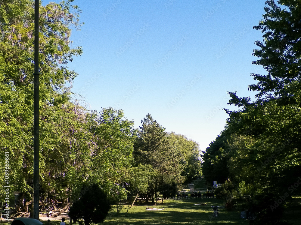 Landscape of King Mihai I Park, Bucharest, Romania. Landscape of King Mihai I Park, Bucharest, Romania.