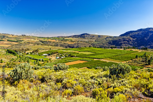 Fruit orchards in deep valley on the cool Bo-Piketberg mountain plateau in the Western Cape, South Africa