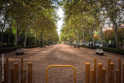 road in the park