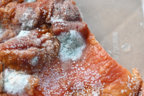 Foto mold on meat, spoiled meat close-up as background, mold fungi on food, on compch