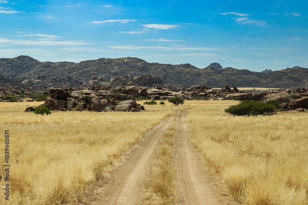 Explore the vast landscapes of Iona National Park in Angola with its rugged terrain and golden grasslands Explore the vast landscapes of Iona National Park in Angola with its rugged terrain and golden grasslands
