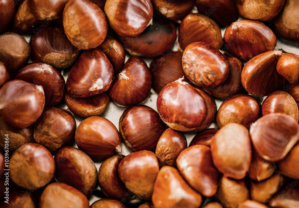 Close-up of raw chestnuts in a metal bowl Close-up of raw chestnuts in a metal bowl
