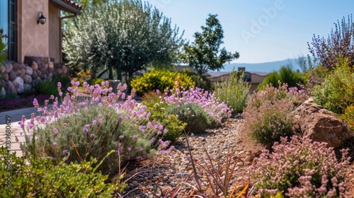 Shrubs in bloom in a drought tolerant landscaping