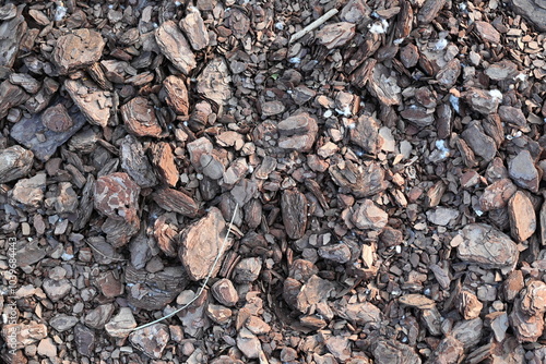 Wallpaper Mural texture of bark pieces as ground cover, bark pieces covering the surface, brown bark close-up  Torontodigital.ca
