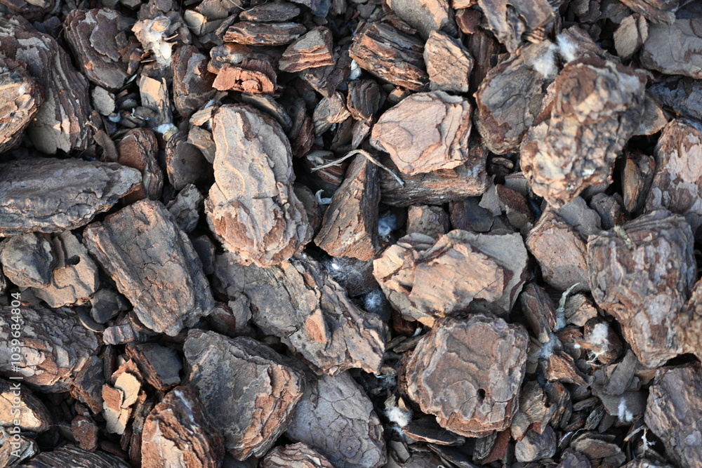 texture of bark pieces as ground cover, bark pieces covering the surface, brown bark close-up texture of bark pieces as ground cover, bark pieces covering the surface, brown bark close-up
