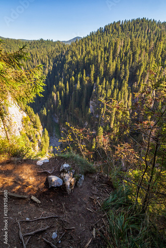 landscape of padis plateau in apuseni natural park of romania. cetatile ponorului also called castle of miracles is the most spectacular cave in of bihor mountains photo