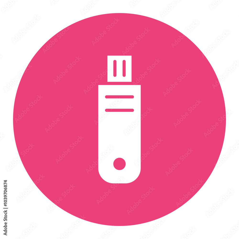 Pendrive Icon