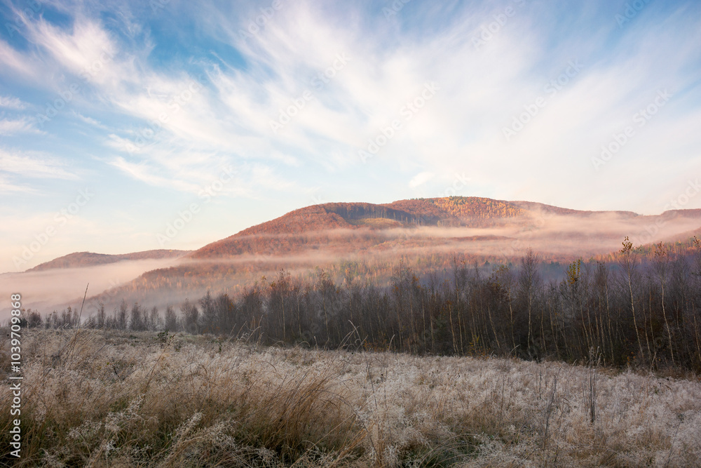 mountain landscape with field and fog in the distance. grassy medow on misty morning. countryside scenery in autumn at sunrise. cold november