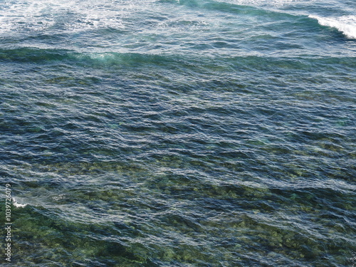 海