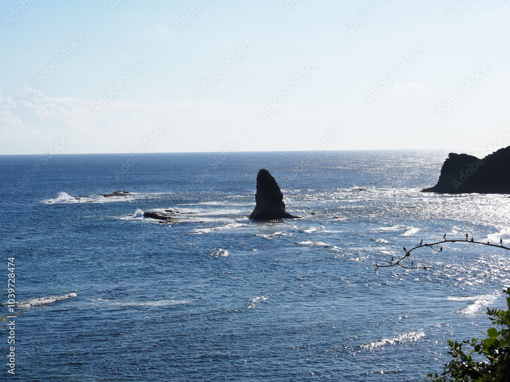 Fototapeta premium 海からそびえる岩