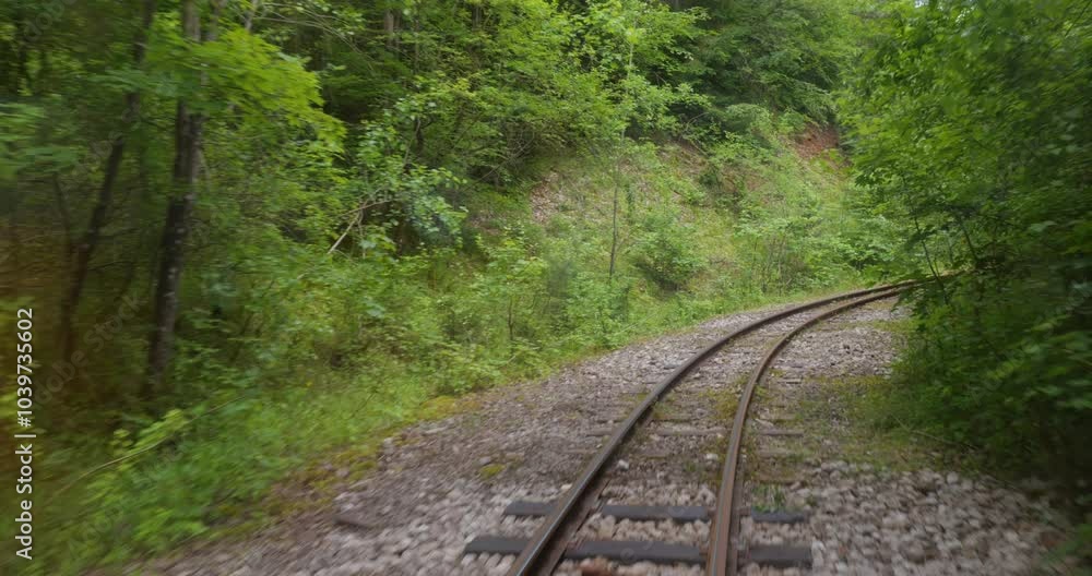 View from the rear carriage, driving over the tracks of a railway through the woods. View from the rear carriage, driving over the tracks of a railway through the woods.